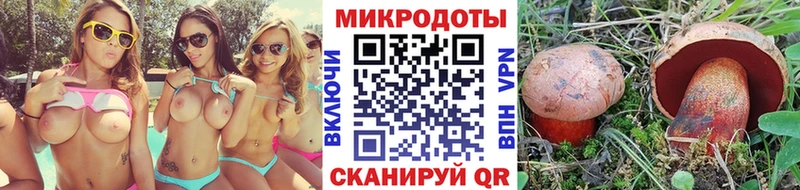 закладка  Ростов-на-Дону  Псилоцибиновые грибы прущие грибы 
